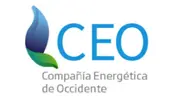ceo